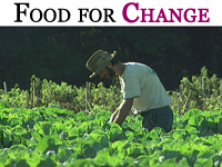 Food For Change